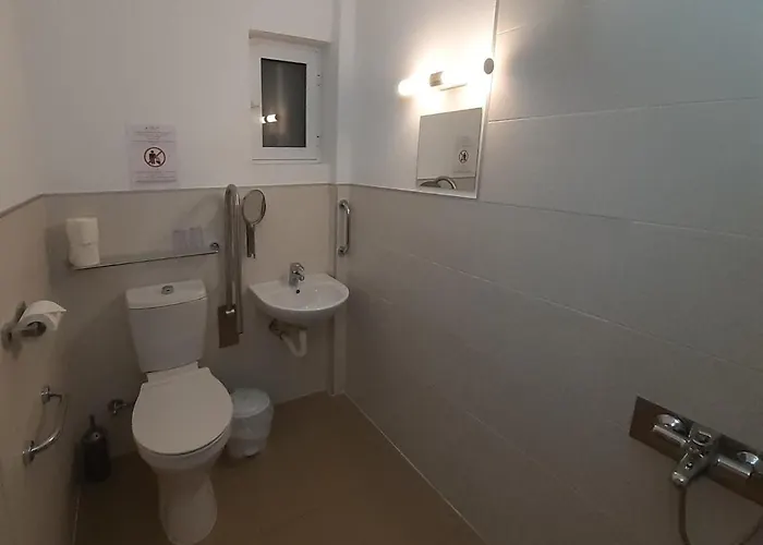 Delphini - For The Disabled