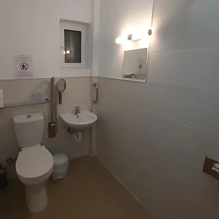 Delphini - For The Disabled