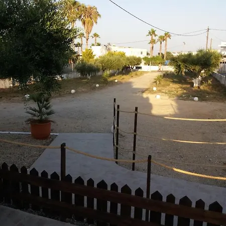 Delphini - For The Disabled 4*